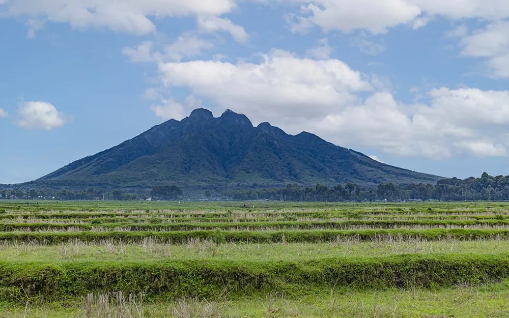 Rwandan fields and volcanic mountains