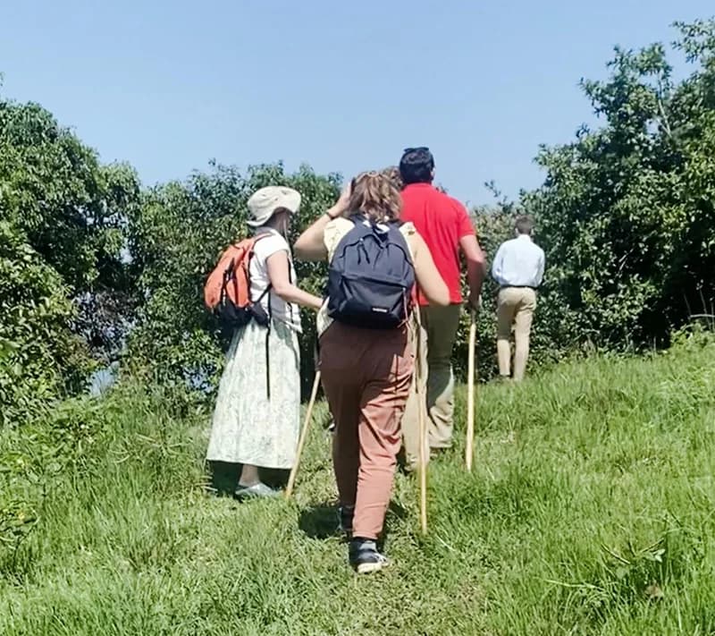Hiking and hillside scenery in Rwanda